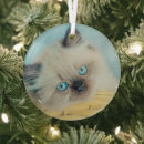Search for persian cat christmas tree decorations Fluffy
