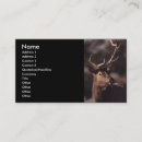 Search for elk business cards Wildlife