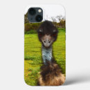 Search for emus iphone cases Wildlife