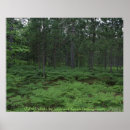 Search for refuges posters Trees