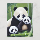 Search for cute baby panda postcards Bear