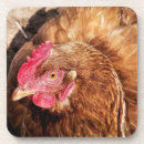 Search for chicken coasters Hens