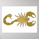 Search for scorpion posters Venomous