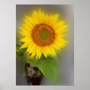 Search for bright yellow background posters Sunflower