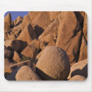 Search for mojave mousepads Joshua tree national park