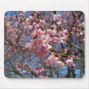 Search for bee image electronics Blossom