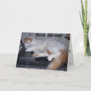 Search for funny kitty image cards Funny cat photo