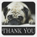 Search for pug stickers Thank you