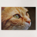 Search for orange cat puzzles Pet