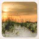 Search for dunes coasters Seascapes