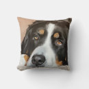 Search for bernese mountain dog cushions Cute