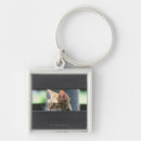 Search for surface square key rings Horizontal