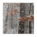 Search for oak tree tiles Landscape