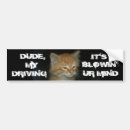 Search for kittie bumper stickers Animal