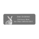 Search for white bunny return address labels Animal
