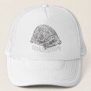 Search for turtle hats Reptile