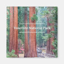 Search for yosemite national park magnets Adventure