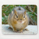 Search for adorable chipmunk mousepads Furry