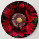 Search for wild flowers badges Poppy