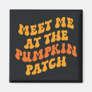 Search for patch magnets Fall