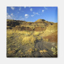 Search for provincial magnets Landscape