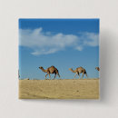 Search for camel desert badges Egypt