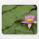 Search for territorial mousepads Asia