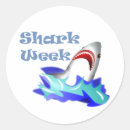 Search for shark cartoon stickers Illustration