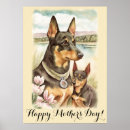 Search for australian kelpie gifts Watercolor