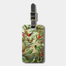 Search for ernst accessories Trochilidae
