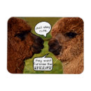 Search for alpacas magnets Humour