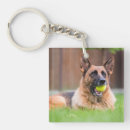 Search for german shepherd key rings Animal