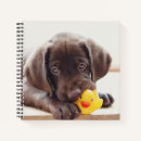 Search for labrador notebooks Cute
