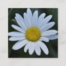 Search for daisy business cards Yellow