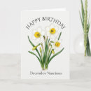 Search for narcissus cards Daffodil