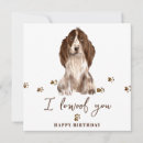 Search for cocker spaniel birthday cards Pets