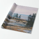 Search for yellowstone wrapping paper Wildlife