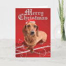Search for weenie dog cards Wiener