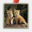 Search for fox cub christmas tree decorations Animal