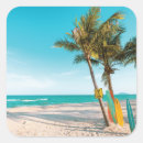 Search for surfing stickers Surf boards