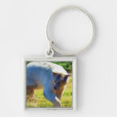 Search for rare key rings Wildlife