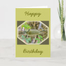 Search for band cards Nature