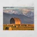 Search for hay barn postcards Farming
