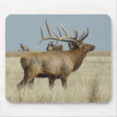 Search for herd mousepads Outdoors