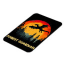 Search for flying dragons magnets Nature