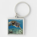 Search for sea turtle key rings Animal