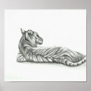 Search for tiger drawing posters Sketch