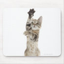 Search for dancing humour electronics Animal