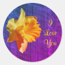Search for daffodil flower stickers Nature