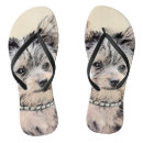 Search for yorkshire terrier shoes Puppy